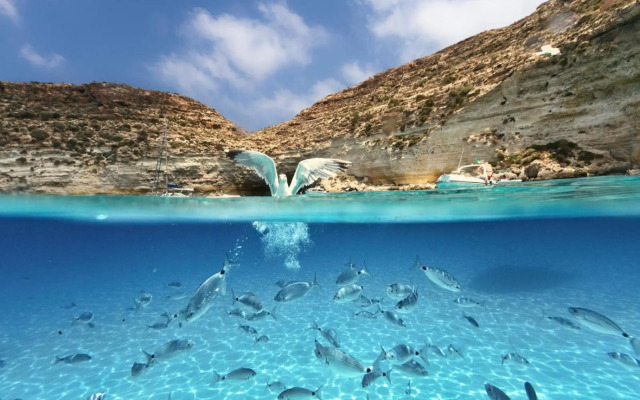 Appartamenti Pomelia Lampedusa