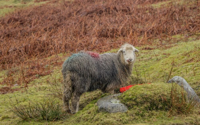 Swaledale Watch Garden Annexe