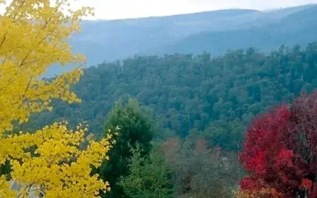 Goldberryaccommodation