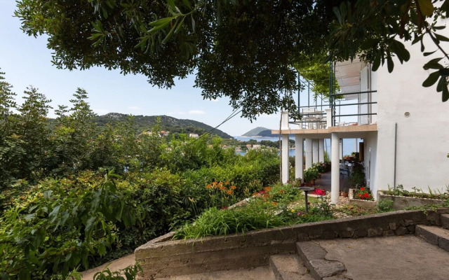 Apartments Miskovic