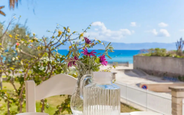 Sun Of The Bay Vidalba 1 (B2 - A1)