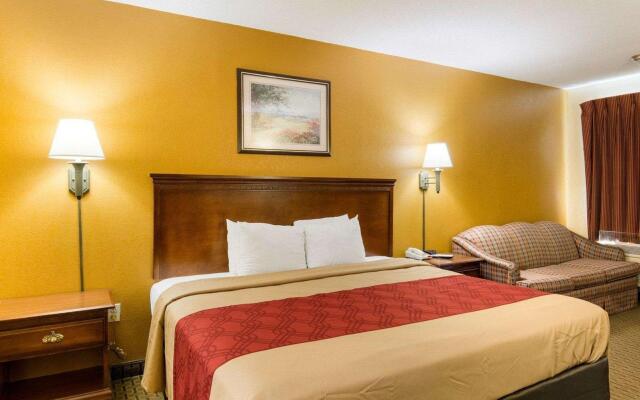 Super 8 Fredericksburg South