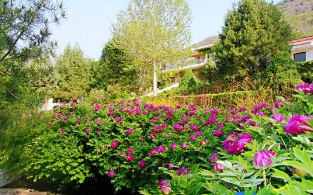 Wuling Mountain Villa