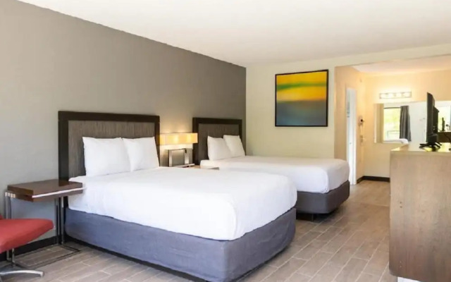 Hotel Elite
