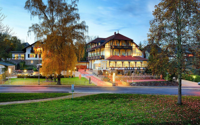 PARK VILLA zentral am Mittelrhein