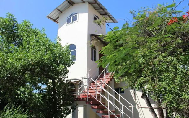 The Finch House (La Casa del Pinzón)