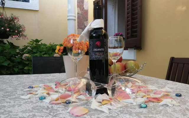 T&D Apartmani