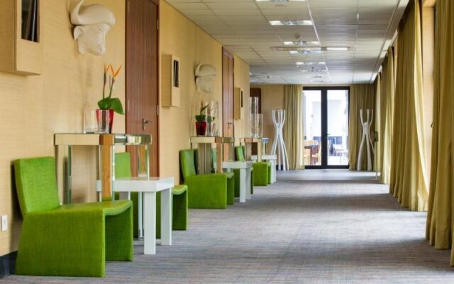 The VIP Executive Baobab