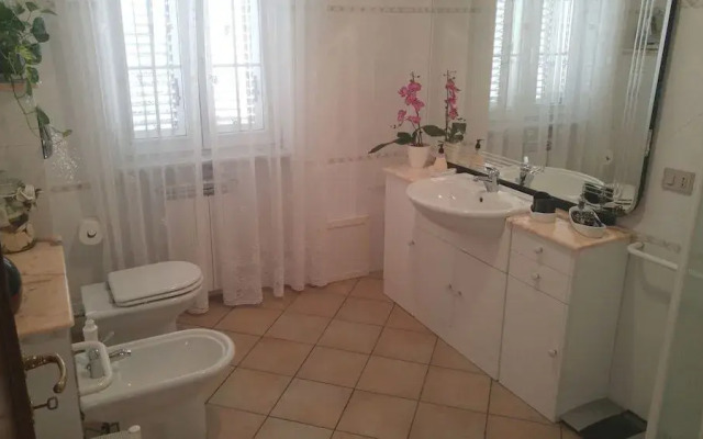 B&B Benjamin Exclusive protection no cohabitation