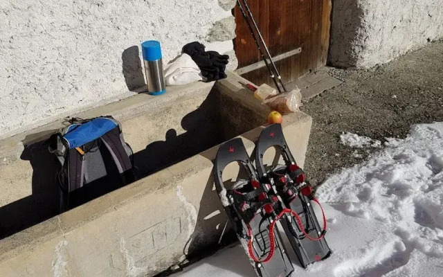 Pension Chalet Berkana