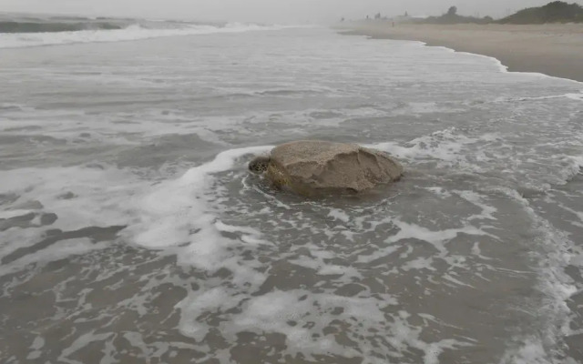 Windemere Inn by the Sea