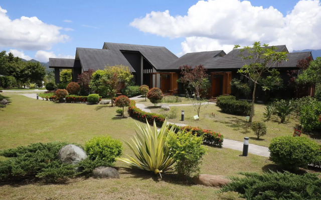 Goldenpaddy B&B