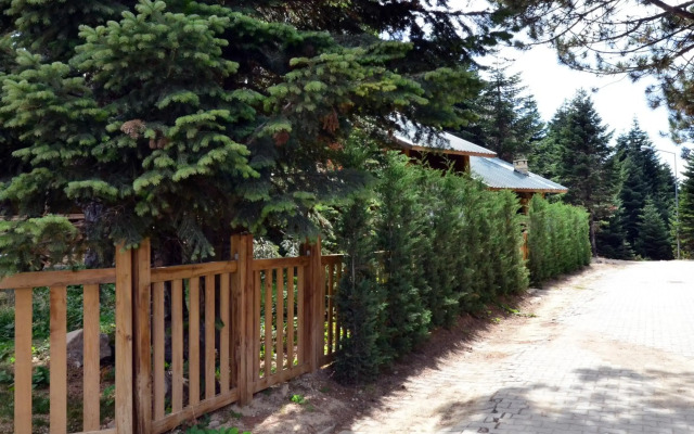 Uludag Orman Koskleri