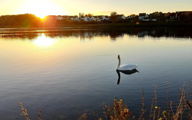Twistesee Ferienwohnung