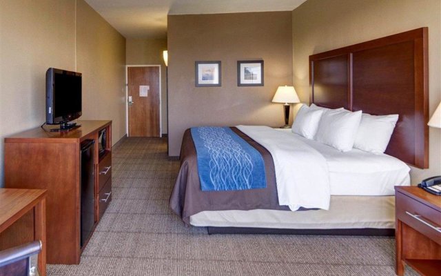 Comfort Inn and Suites Plano East