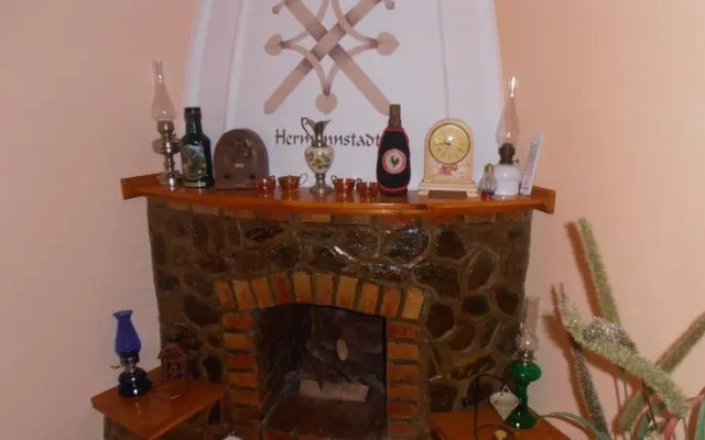 Pensiunea Domar - Alina