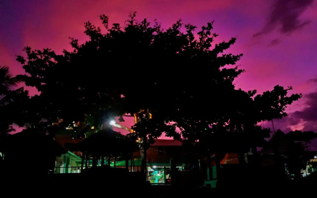 SmallFry's Beach Resort