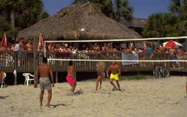 Hilton Head Ocean - 1, 2 & 3 Bedroom Villas