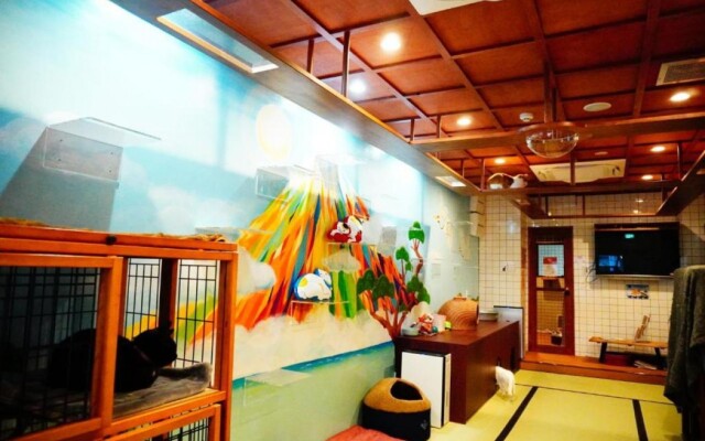 Cat Spa & Cat Ryokan Neco Republic Osaka
