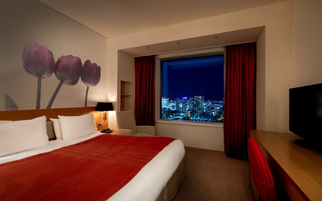 Double room (풀 더블 침대) 사진 1
