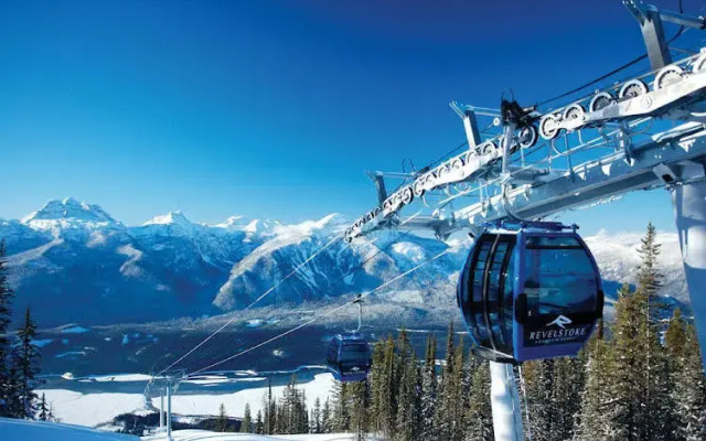 The Pines Bed & Breakfast, B&B