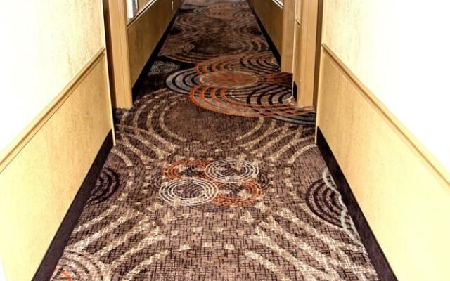 Best Western Executive Inn