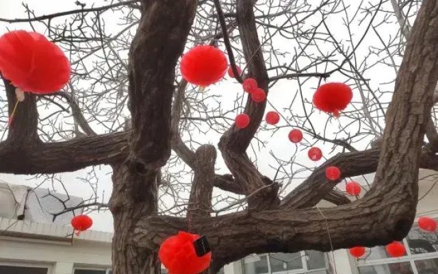 Homestay (Beijing Flagship Store)
