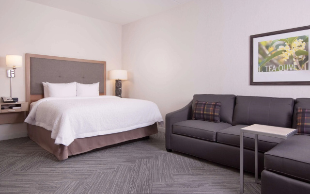Hampton Inn & Suites by Hilton Augusta-Washington Rd