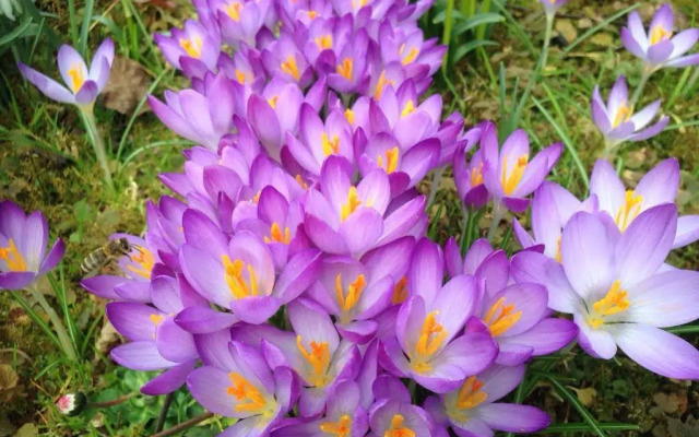 Wohlfühlhotel Sonnengarten