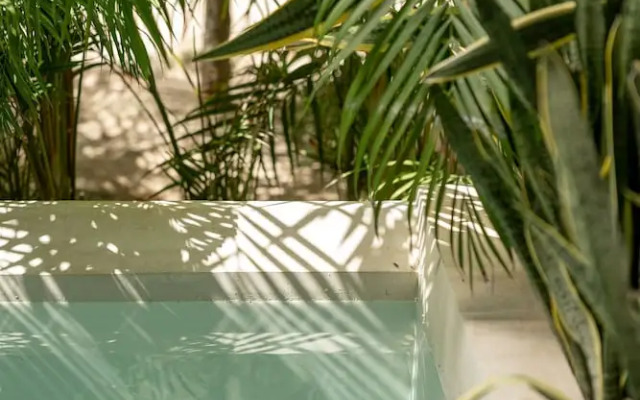 Seremonia Origen by Vida de Playa