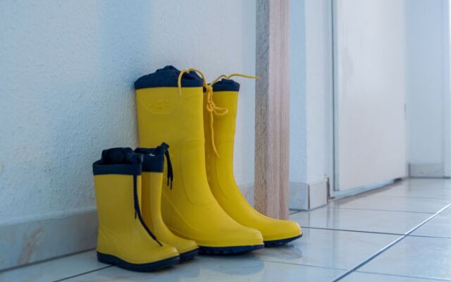 Apartment Seestern Norddeich 20996