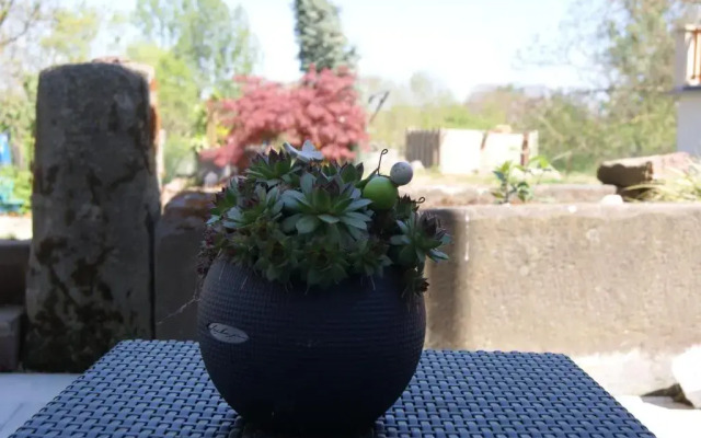 Appartement Petite Vallée