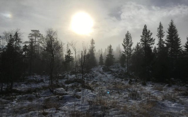 Bed and Breakfast Hadeland