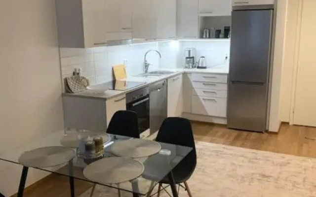 Stylish apartment with sauna nearby Airport