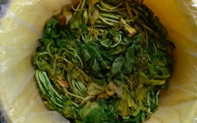 Ryokan Hashimotoya <Niigata>