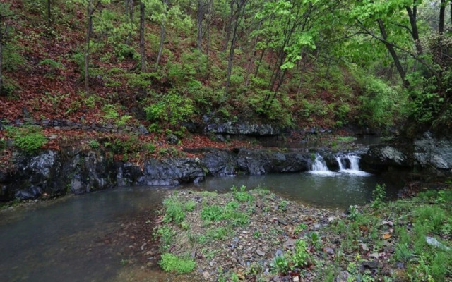 Cheongsong Songwol Pension