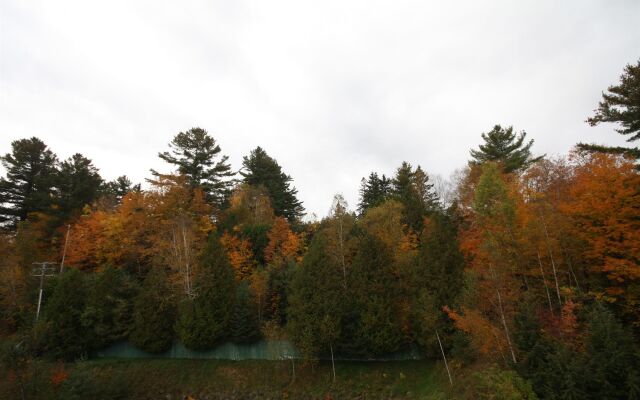 Grand Adirondack Hotel, Lake Placid, a Tribute Portfolio Hotel