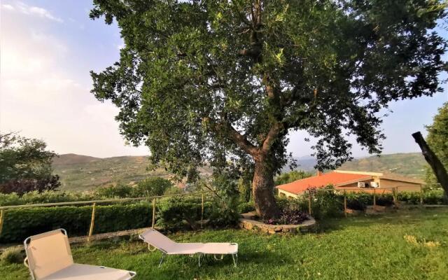 Bellezza In Cilento Panoramic Apts