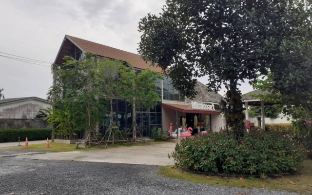 Areeca Mahogany Zone