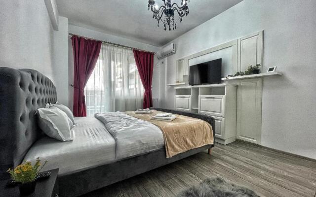 Q Apartament near Palas by Bassarab