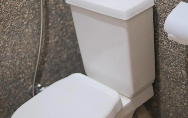 Old Nubian guest house