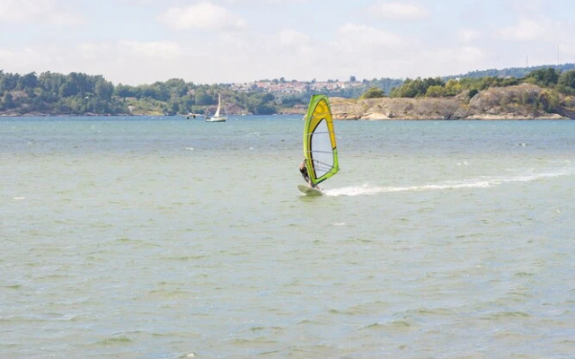 Surfviken