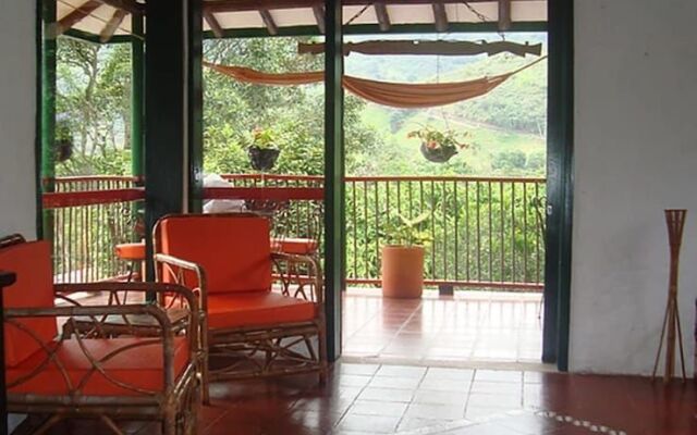 Ecosuits Verdes - Adults Only