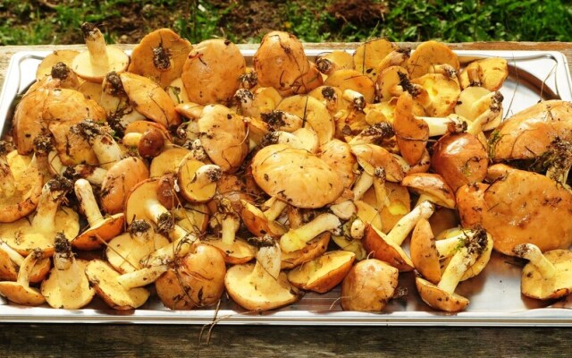 Réserve Naturelle de Boussière