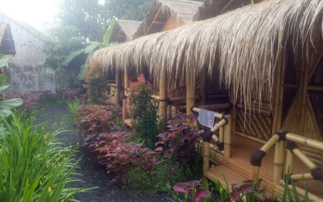 Javana Homestay