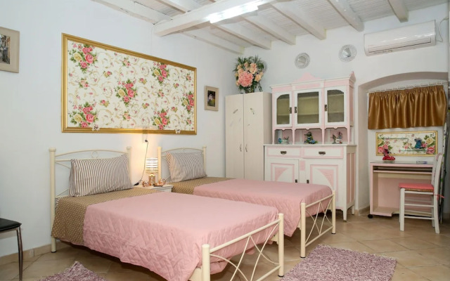 Conte Studio