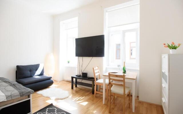 Apartment Erlachgasse