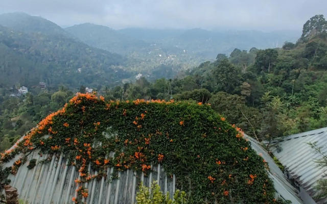Munnar Tea Hills Resort (MTHR)