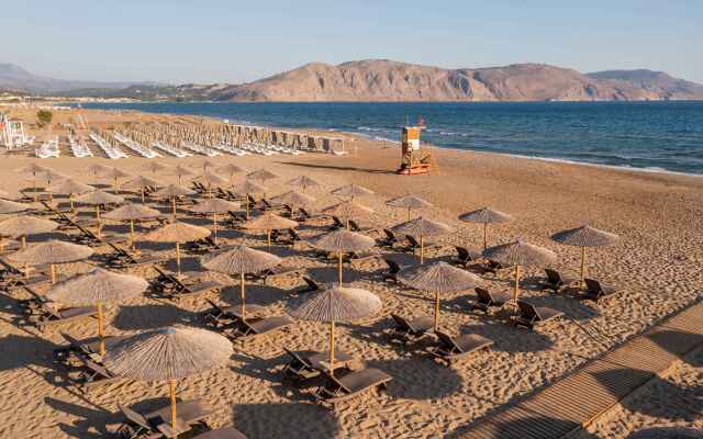 Delfina Tropic Beach