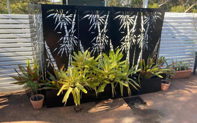 1166 on Booner - Hawks Nest